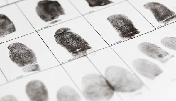 Casier judiciaire avocat penal paris penaliste